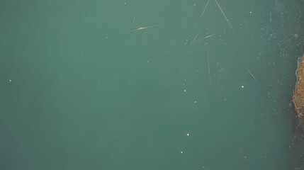 Fototapeta premium Tranquil Water Surface with Natural Reflections and Underwater Vegetation in Clear Aquatic Environment