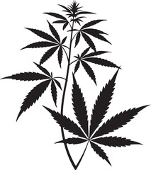Lush Cannabis Plant Silhouette with Detailed Leaves for Botanical Decor