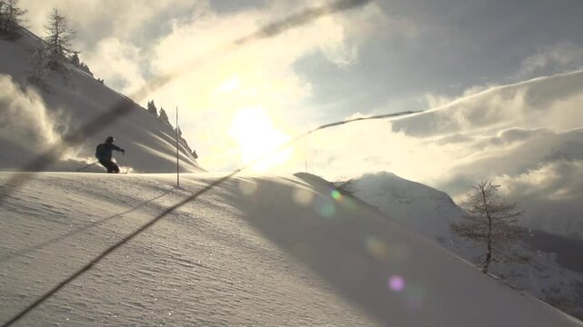Ski freeride grosse poudreuse