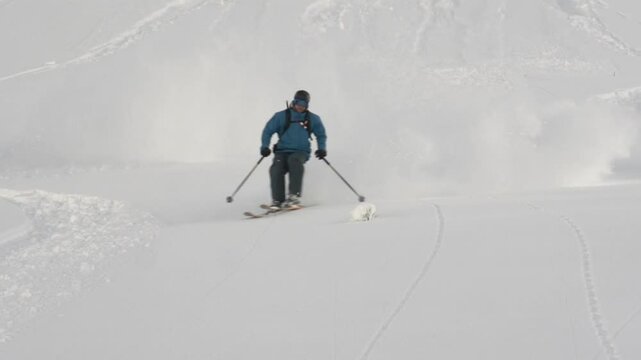 Ski freeride grosse poudreuse