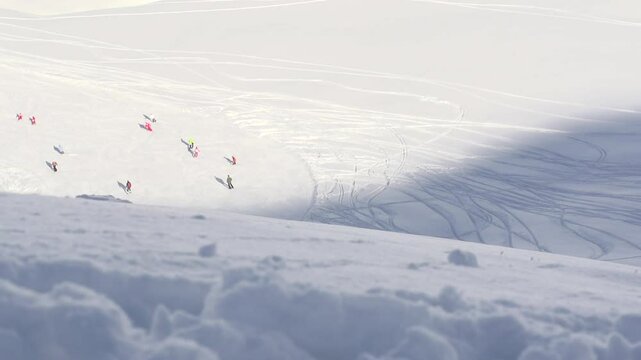 Ski freeride grosse poudreuse