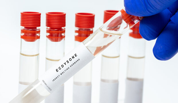 Ecdysone
