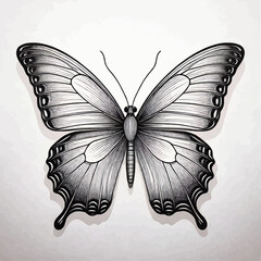 Geometric Butterfly Line Art