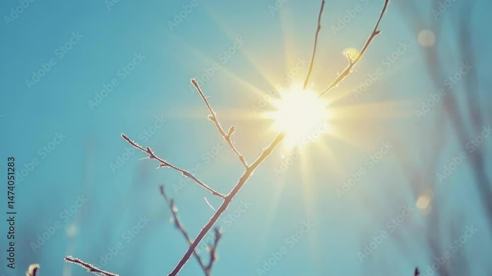 Poster a bright and warm scene with sunlight shining through the branches of a tree