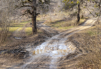 autumn sunny day, nature park, walking along a dirt road with an overview of the area