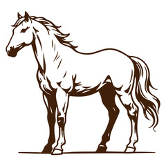 horse vector illustration