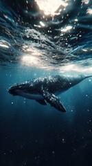 Fototapeta premium Majestic whale swimming underwater