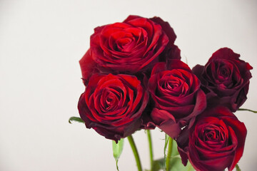 赤い薔薇