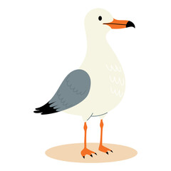 Beautiful Seabird Seagull. Vector illustration