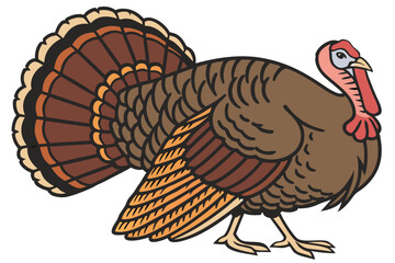 126 brown turkey, colorful feathers, proud posture, close-up portrait, detailed plumage, farm animal, thanksgiving bird, photorealistic, high resolution