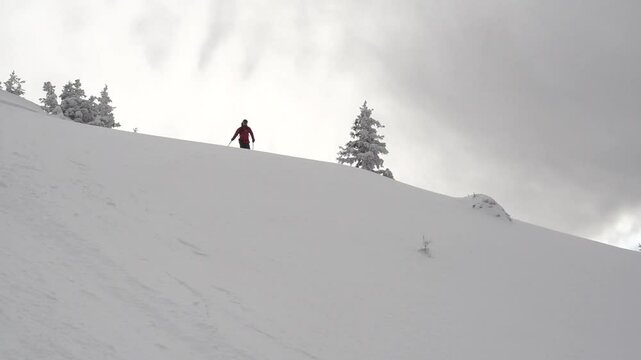  ski freeride d&eacute;clenchement avalanche