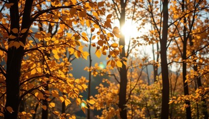 Fototapeta premium golden leaves falling in sunlight through trees with soft golden light filtering through the branches for peaceful autumn landscape photography ideal for nature and seasonal product listings