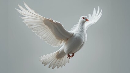 Fototapeta premium Majestic White Dove in Flight with Outstretched Wings Against a Soft Neutral Background
