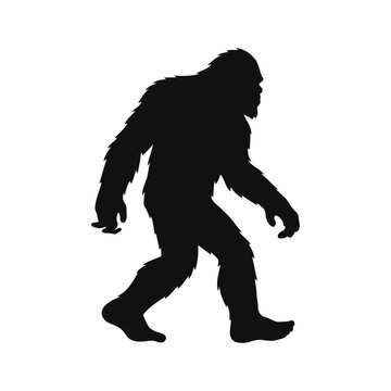 Silhouette of bigfoot