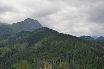 Giewont, view from the top of Mount Nosal. Beautiful summer panorama of the polish mountains, Zakopane, Poland