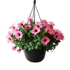 A Hanging Pot Of Petunias, Isolated On A Transparent Background. A Hyper-Realistic Photo With High Detail And No Shadow Behind The Flowers.-Photoroom.Png
