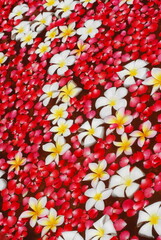 White trumpet flowers and red rose petals floating on water