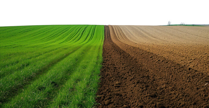 Fototapeta PNG Green and plowed field outdoors horizon nature.