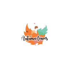 Autumn logo design template