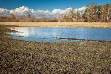 Water after melting snow on a agricultural field