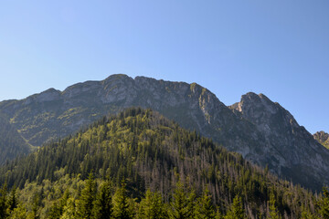 Beautiful view from the Sarnia Skala (eng: Deer Peak) peak with a height of 1,378 m. Tatra National Park. Zakopane, Poland. View of Giewont