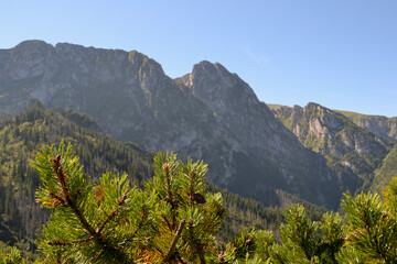 Beautiful view from the Sarnia Skala (eng: Deer Peak) peak with a height of 1,378 m. Tatra National Park. Zakopane, Poland. View of Giewont