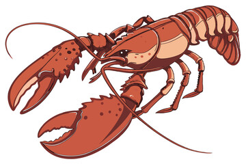 137 cooked lobster, detailed lobster close up, realistic lobster, high resolution, photorealistic, studio lighting, white background