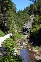 Bialego Valley, Zakopane, Poland. White Stream Valley trekking trail