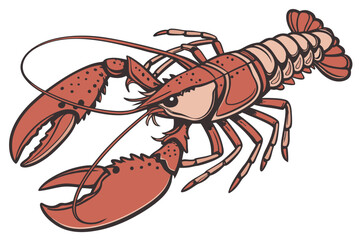 137 cooked lobster, detailed lobster close up, realistic lobster, high resolution, photorealistic, studio lighting, white background