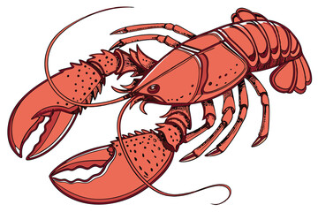 137 cooked lobster, detailed lobster close up, realistic lobster, high resolution, photorealistic, studio lighting, white background