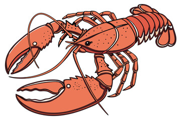 137 cooked lobster, detailed lobster close up, realistic lobster, high resolution, photorealistic, studio lighting, white background