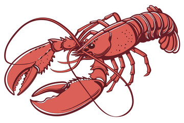 137 cooked lobster, detailed lobster close up, realistic lobster, high resolution, photorealistic, studio lighting, white background