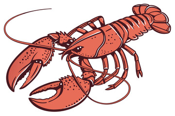 137 cooked lobster, detailed lobster close up, realistic lobster, high resolution, photorealistic, studio lighting, white background