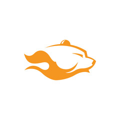 Wild bear logo design template