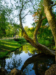 Parco Sempione in Milan, Italy, at April