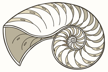 Obraz premium 140 spiral shell, sea shell, marine, ocean life, intricate patterns, detailed texture, beige and brown colors, studio shot, high quality, realistic, octagonal, 4k