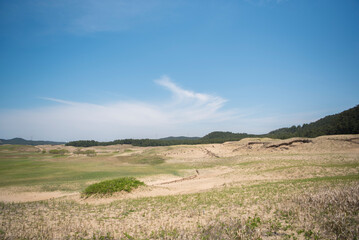 신두리 해안 사구의 광활한 풍경
