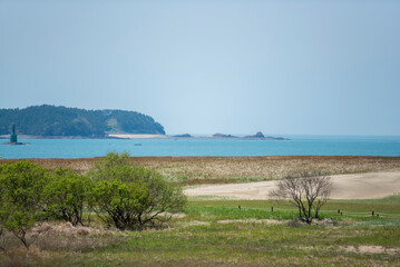 바다와 사구가 있는 신두리 해변