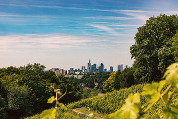 Skyline Frankfurt mit Weinbergen im Vordergrund.
