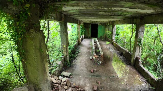 Lush vegetation reclaiming the decaying structure of the former Sanatorium Medea in Tskaltubo, a Soviet-era spa resort abandoned after the USSR's collapse.