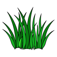 Lawn grass white background vector illustration