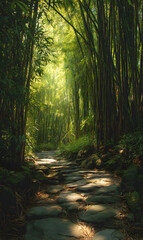 Obraz premium A stone path winds through a serene bamboo forest with sunlight filtering through the tall trees