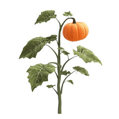 Small pumpkin growing on a vine with colorful striped background