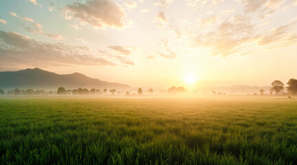Obraz premium Soft sunrise glow on vast meadow with mountain backdrop