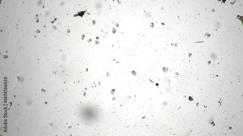 Aufkleber microscopic view of minuscule particles floating amidst a light background
