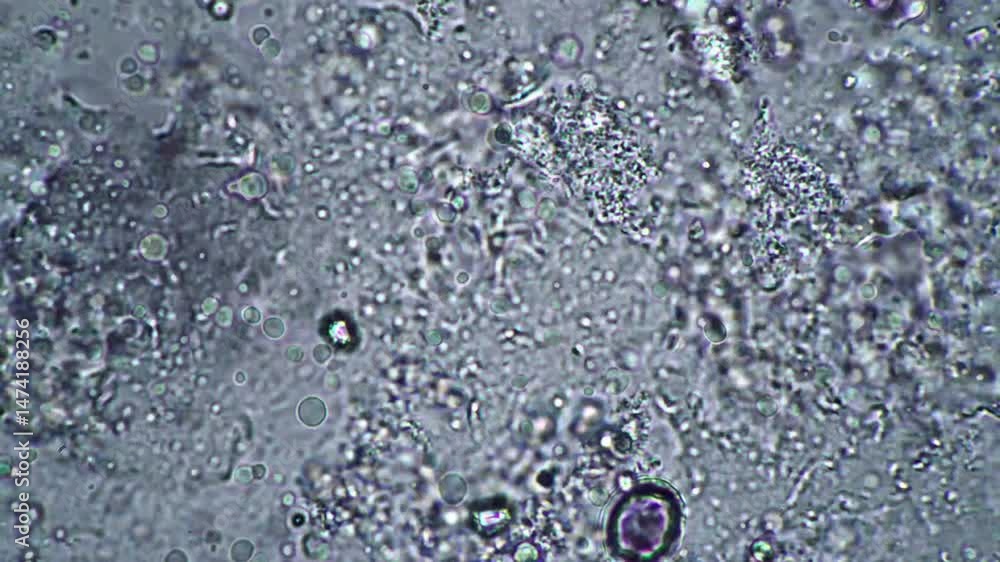 Poster microscopic view of cellular structures with detailed particles in monochromatic shades