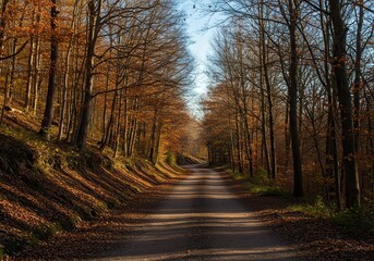 Obraz premium Road through autumn forest with bare trees and fallen leaves on the ground