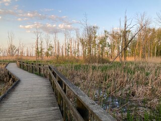 Fototapeta premium Maumee Bay State Park boardwalk