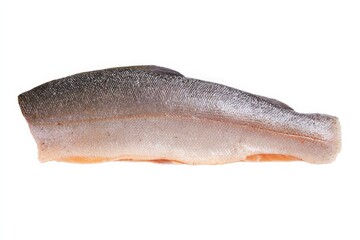 Fresh salmon fillet, ready to cook.  Delicious and healthy!