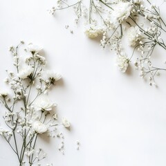 Delicate white flowers arranged artfully on a white background